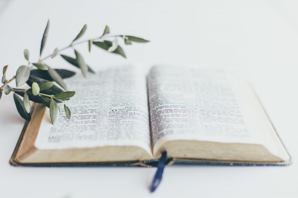 Sermon on Genesis 36: A Lifeless Line